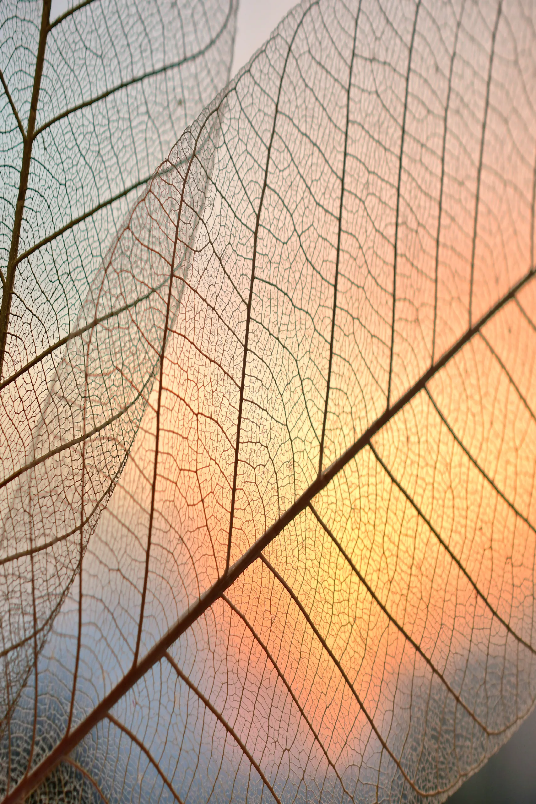 4th banner