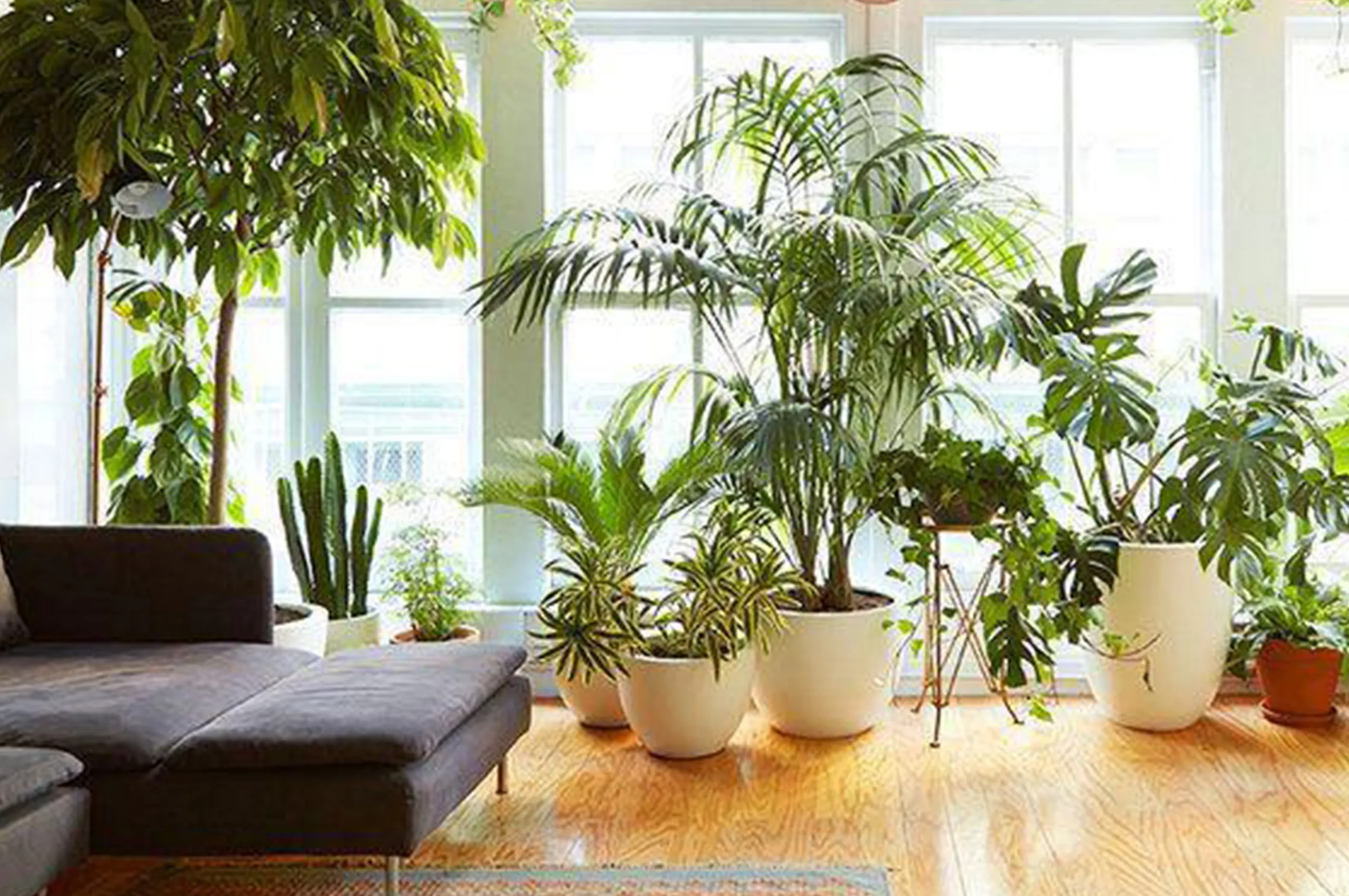 Living room 2