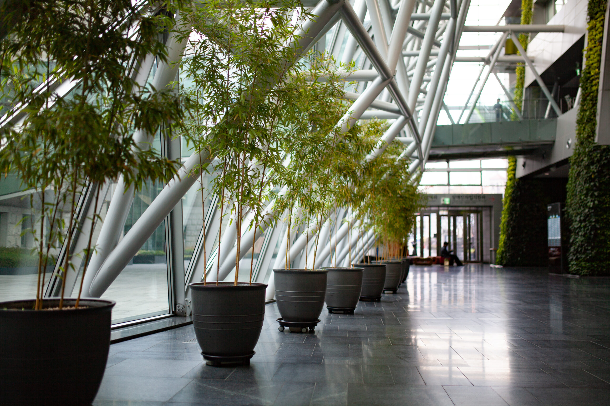 Beautiful shot of Seoul City Hall interior decorated with bamboo pot trees