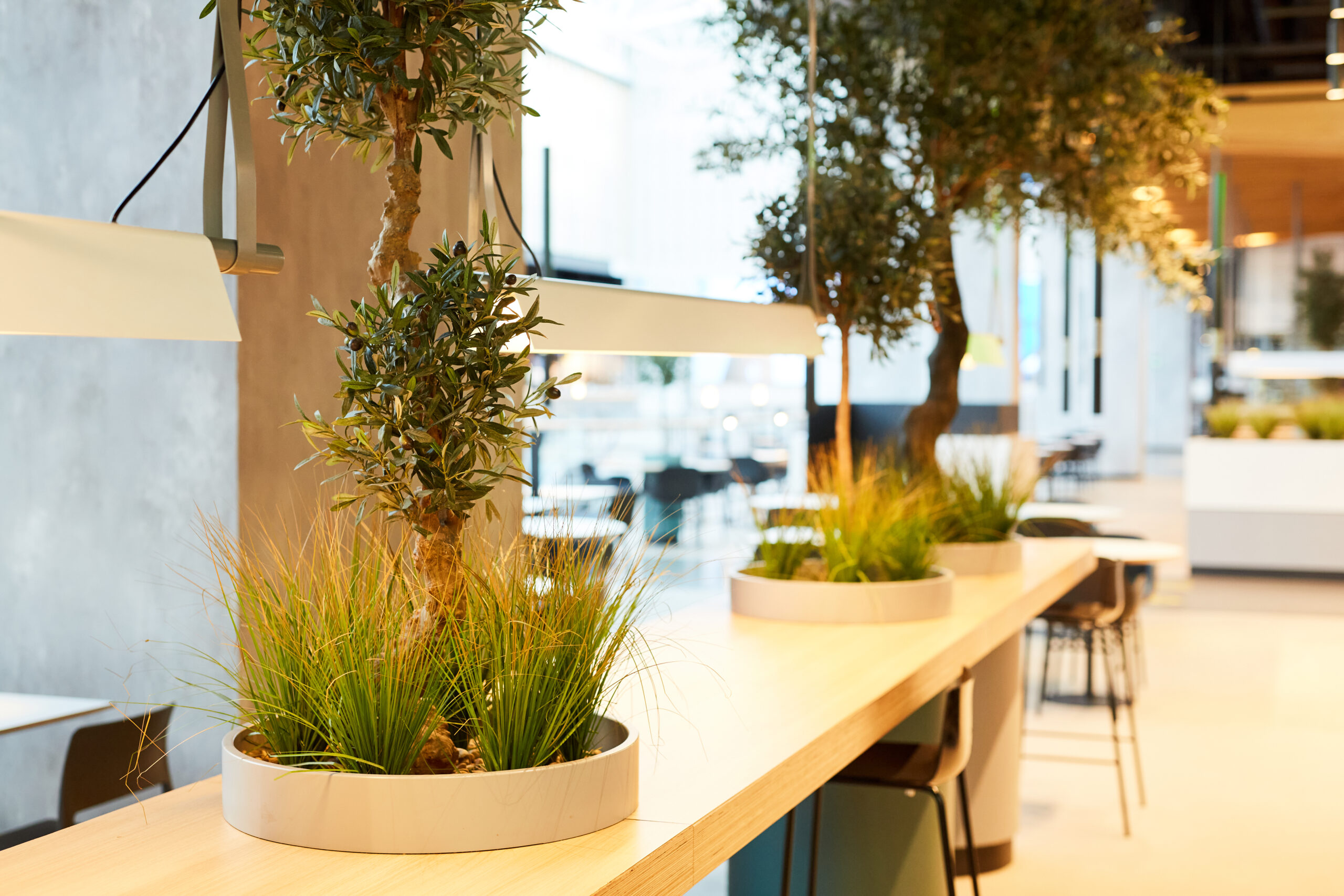 Food Court Decorated with Plants