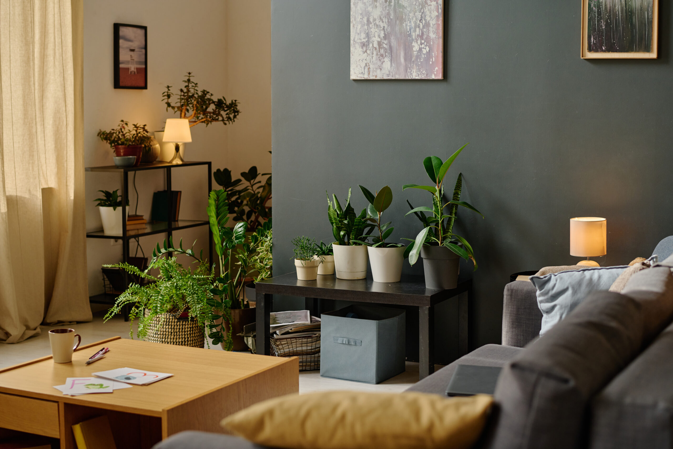 Living Room with Plants