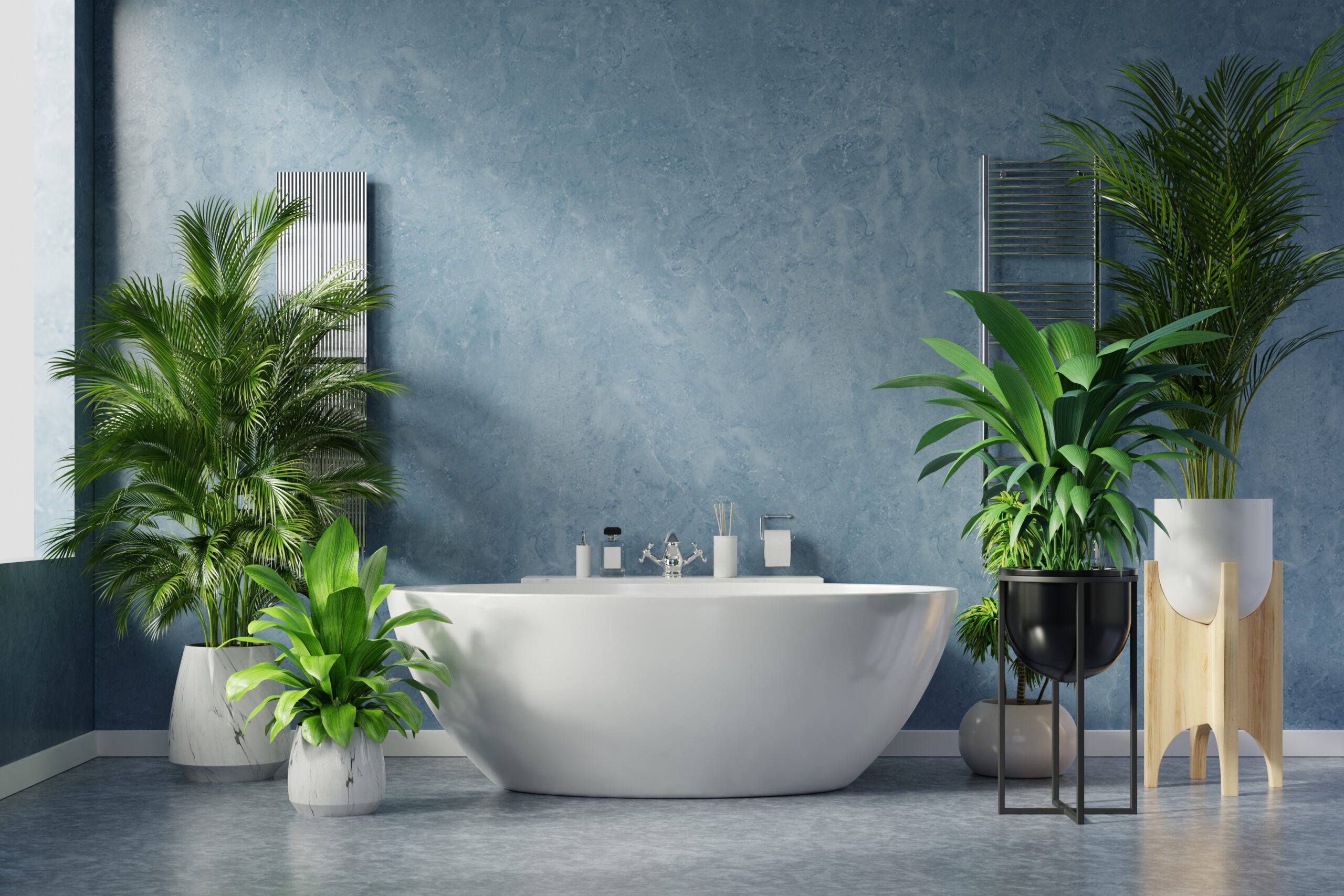 Modern Bathroom interior design on dark blue wall.
