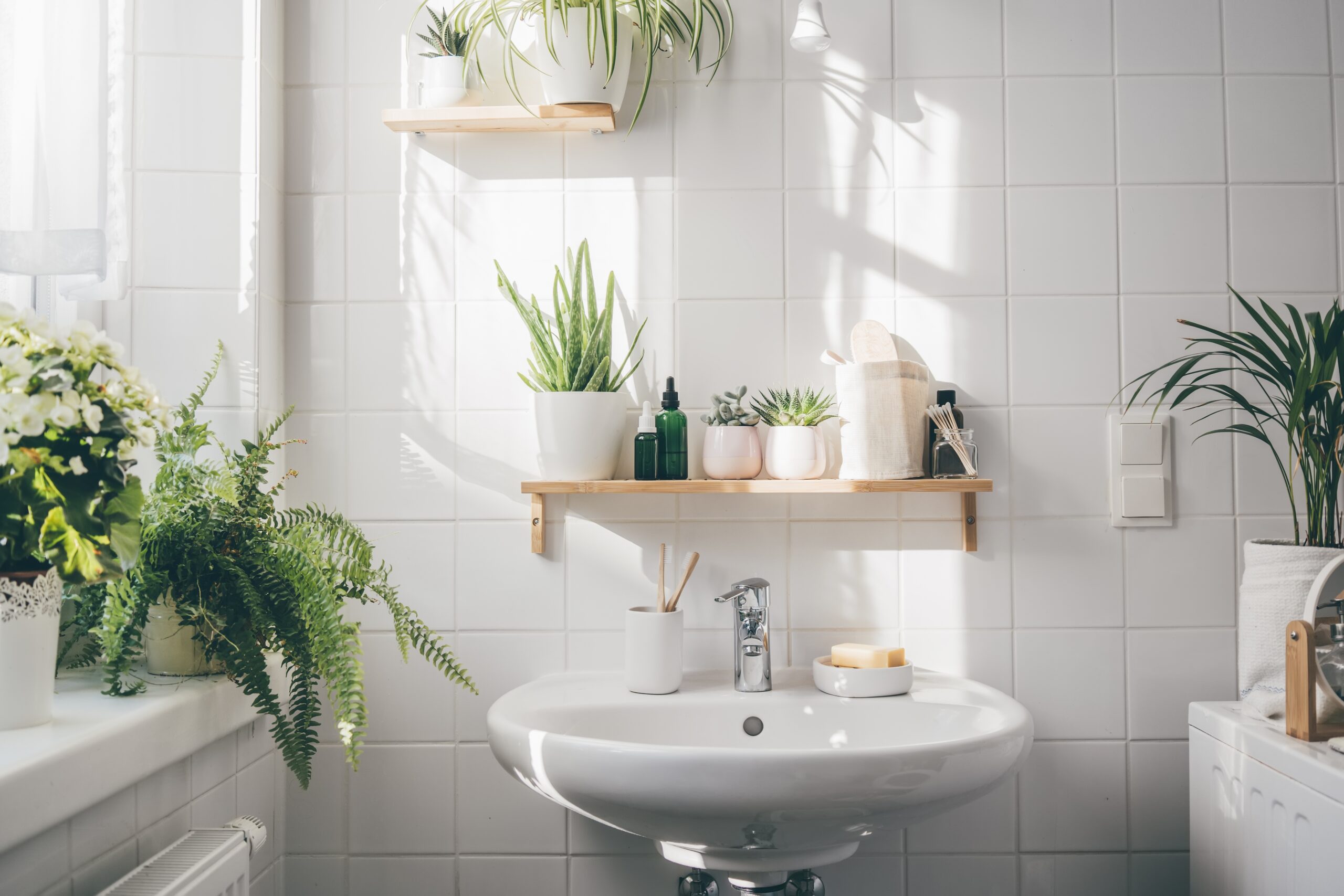 Modern white bathroom with many green plants