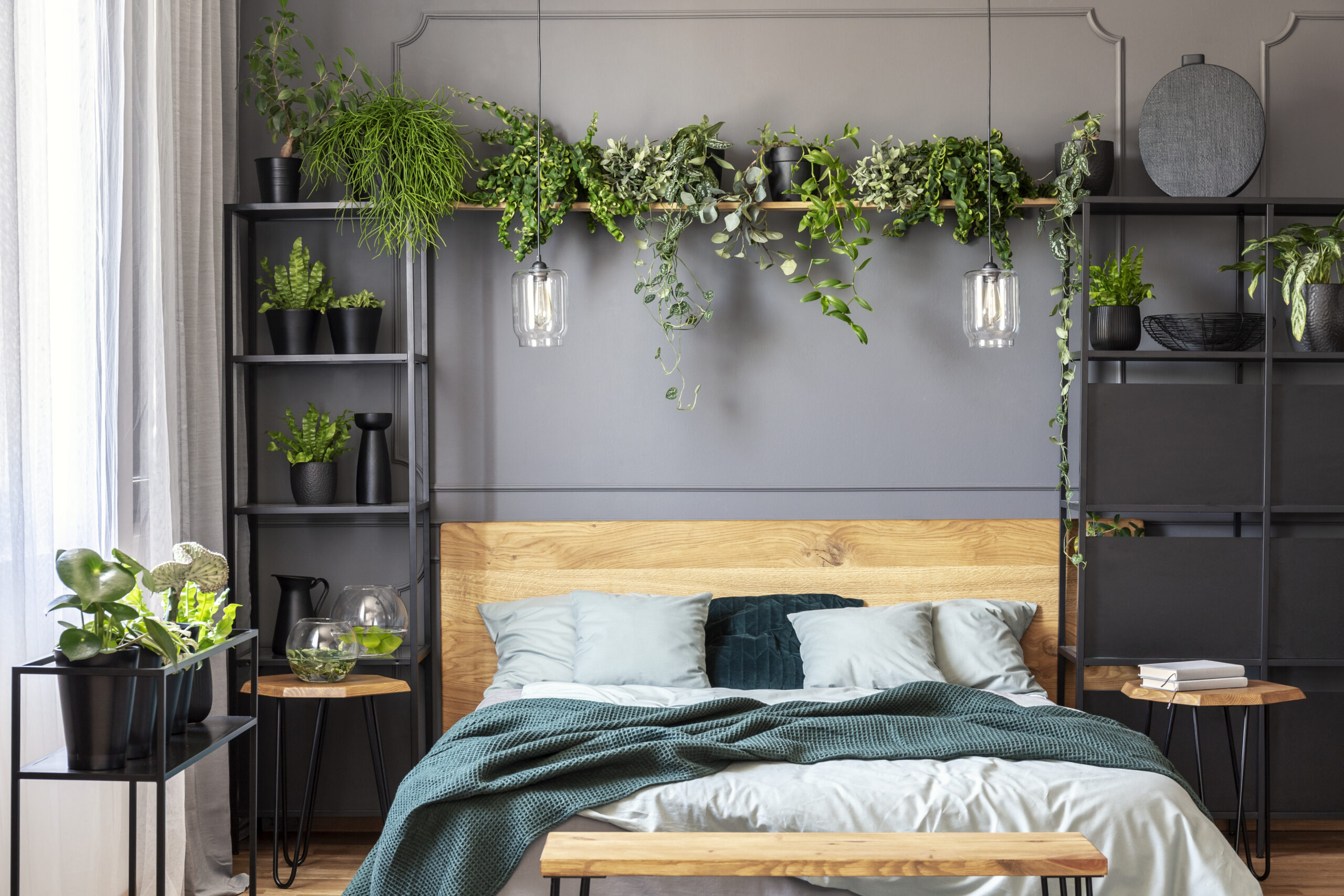 Plants and lamps above wooden bed with green blanket in grey bed
