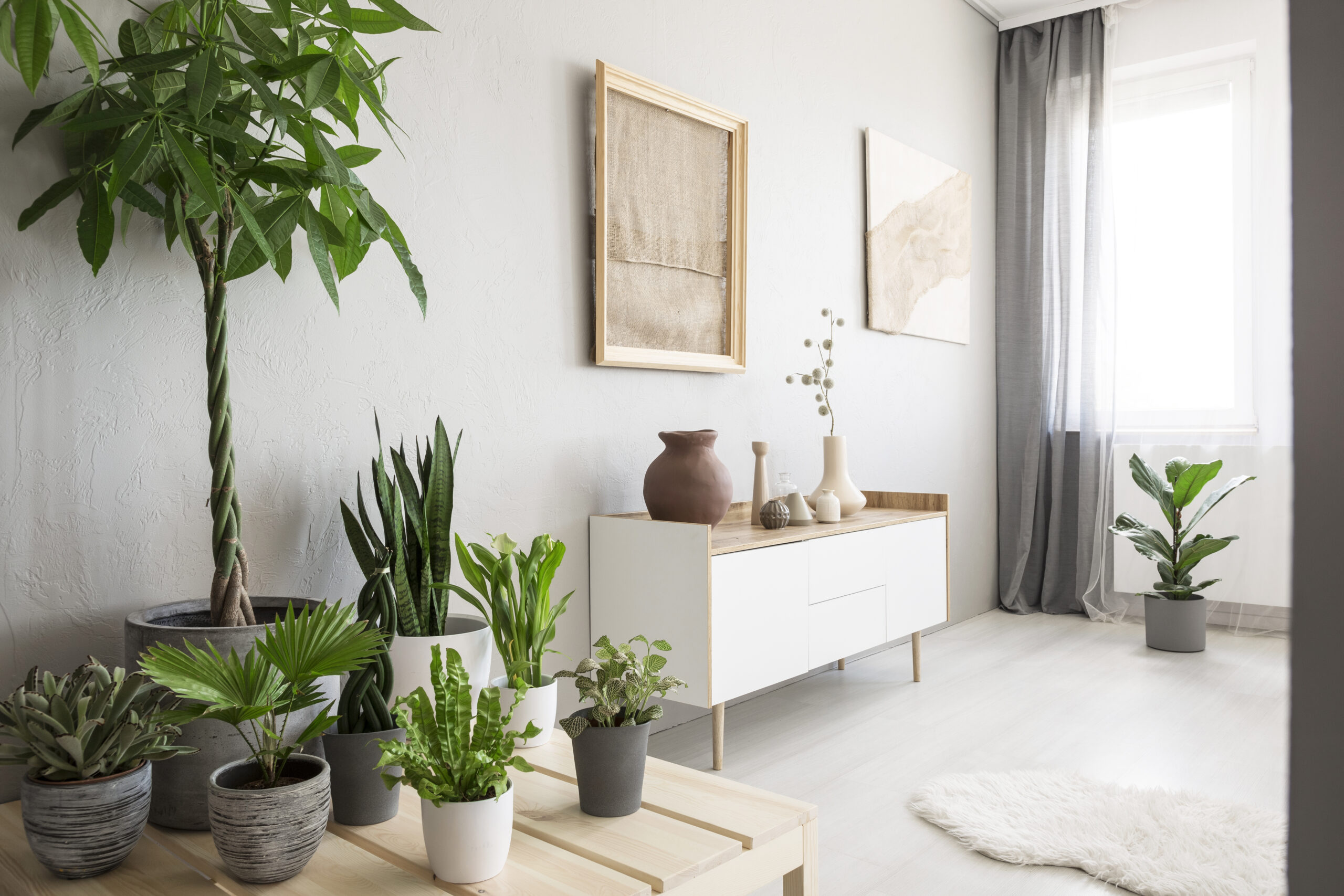 Plants next to white cupboard under burlap artwork in bright liv