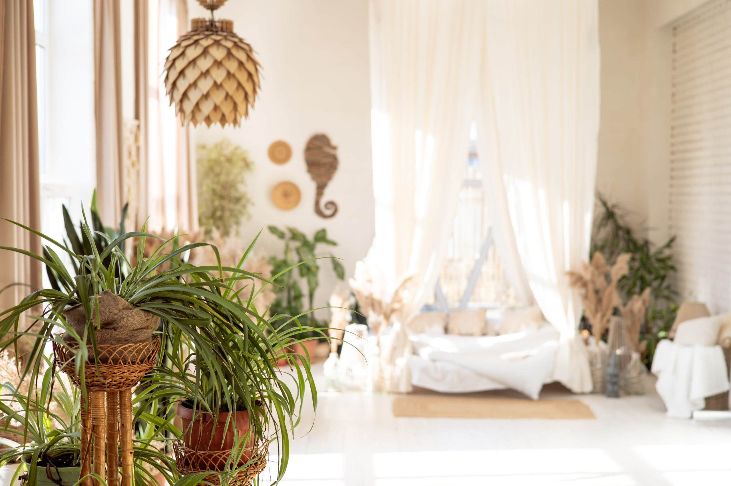 stylish-room-interior-with-different-house-plants-2025-03-13-00-22-24-utc