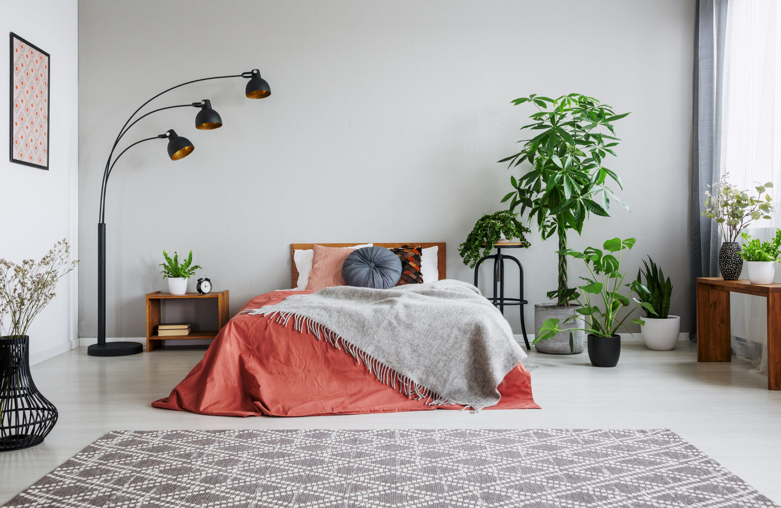 Urban jungle in bedroom with double bed, lamp and carpet, real p
