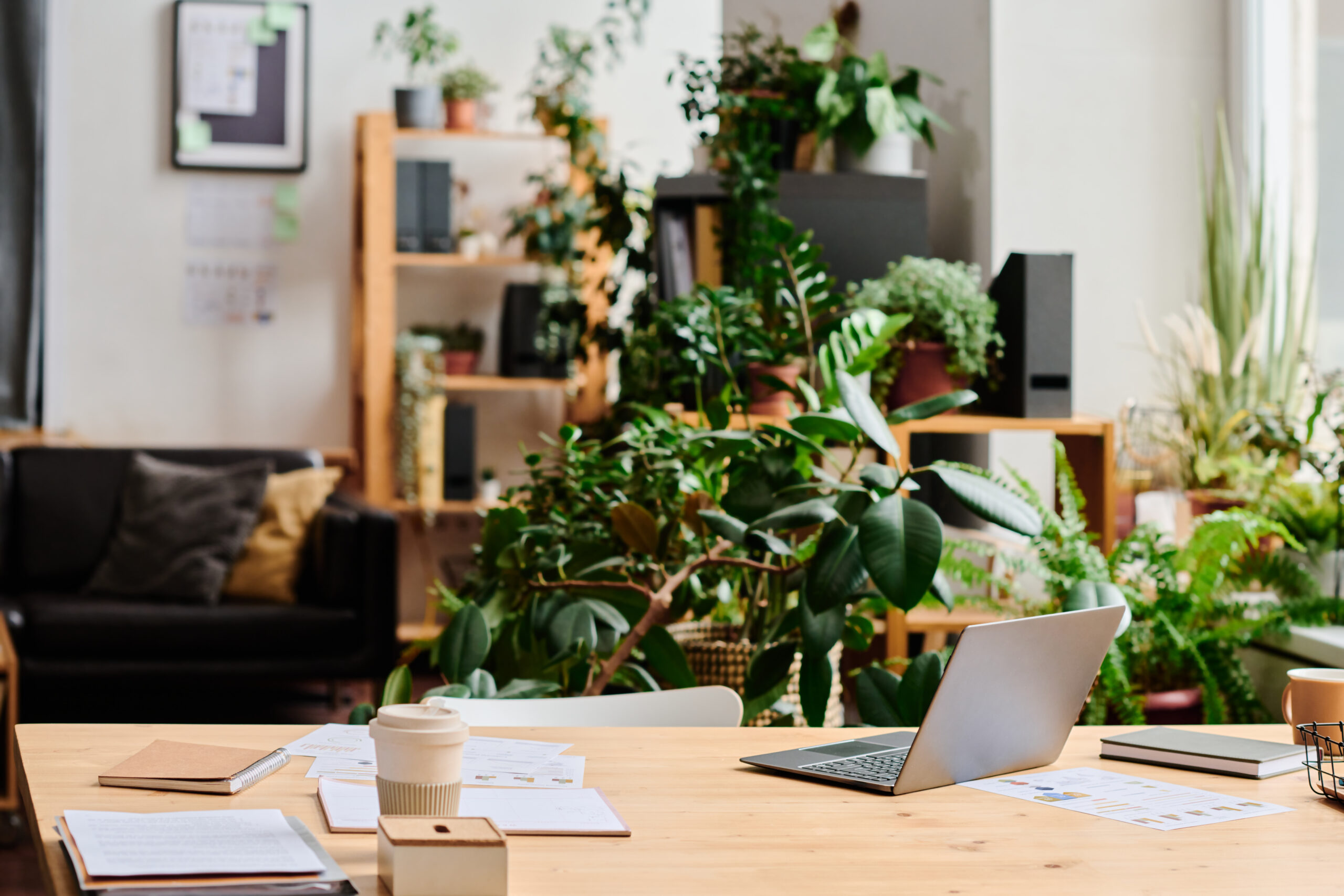 Workplace of white collar worker in office decorated with green domestic plants